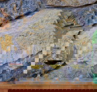 Peter Teakle Wines - Accommodation Gold Coast