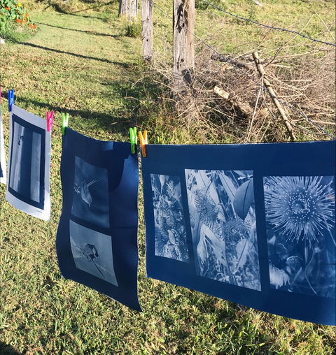 Photography - Cyanotype - 1 Gold Coast 0
