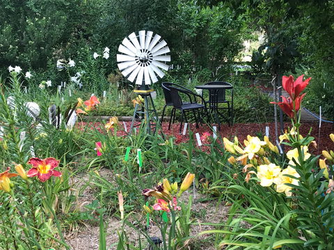 Riverina Iris Farm Open Garden And Iris Display - Accommodation Gold Coast 2