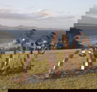 Sculpture Bermagui - Accommodation Gold Coast
