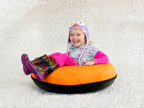 Snow Time In The Garden - Hunter Valley Gardens - Cancelled - Accommodation Gold Coast 1