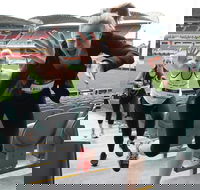 Stadium Stomp Adelaide Oval - Postponed - Accommodation Gold Coast
