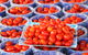 The Entrance Market - thumb 2