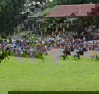 Tumut Boxing Day Races - Accommodation Gold Coast