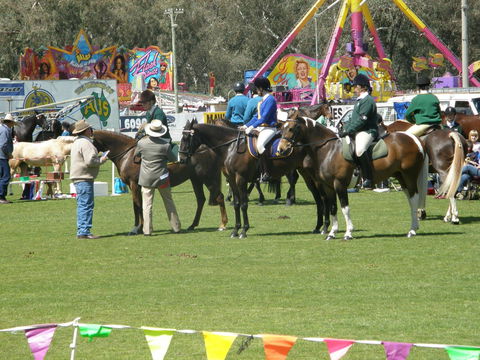 Wangaratta Show - Accommodation Gold Coast 0