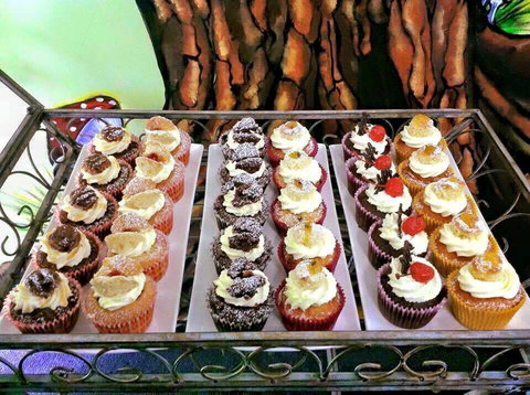 Four Seasons In The Armagh Vineyard - 1 Gold Coast 3