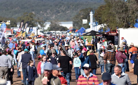 AgQuip - 1 Gold Coast 0