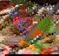 Albany Farmers Market - Accommodation Gold Coast