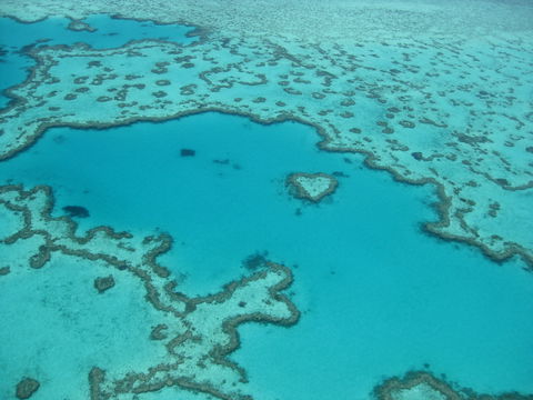 Australian Superyacht Rendezvous 2020 - Great Barrier Reef Edition - Accommodation Gold Coast 2