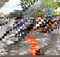 Australian National Busking Championships - Accommodation Gold Coast