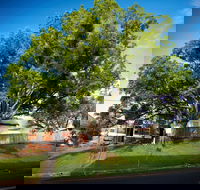 Big Bat Wildlife and Eco Festival - Accommodation Gold Coast