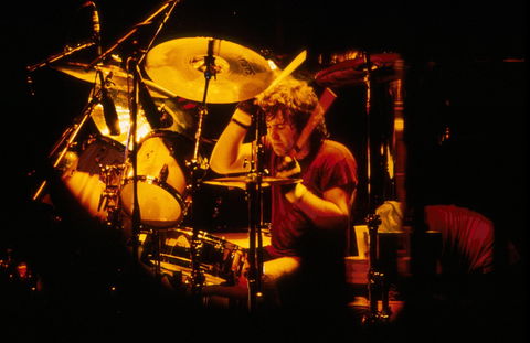 Bon But Not Forgotten - Accommodation Gold Coast 0