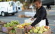 Carlton Farmers' Market - thumb 0