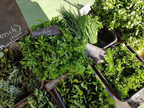 Carlton Farmers' Market - Accommodation Gold Coast 2