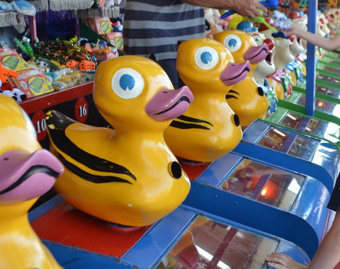 Casino Agricultural Show - Gold Coast 4U 0