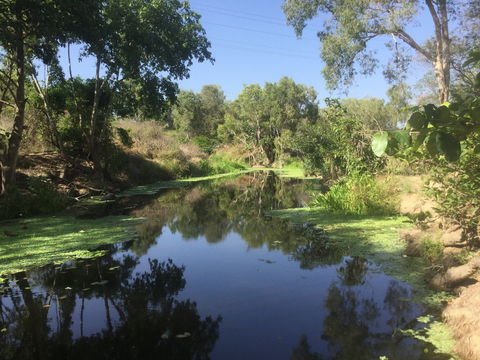 Conservation Volunteers Australia Townsville - Creekwatch - Gold Coast 4U 0