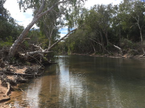 Conservation Volunteers Australia Townsville - Creekwatch - Gold Coast 4U 2
