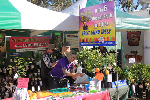 CRT FarmFest - Accommodation Gold Coast 2