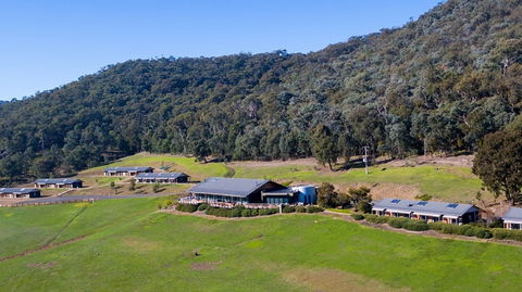 Father's Day Lunch At Holmesglen At Eildon - Accommodation Gold Coast 2