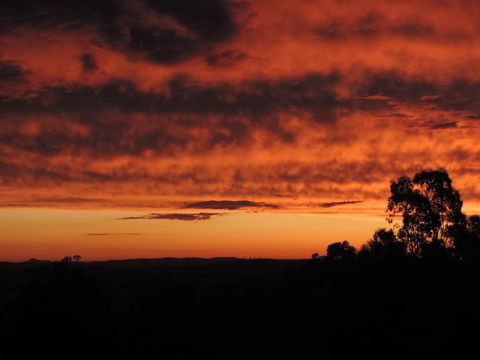 Father's Day At Cottontail Wines - Accommodation Gold Coast 0