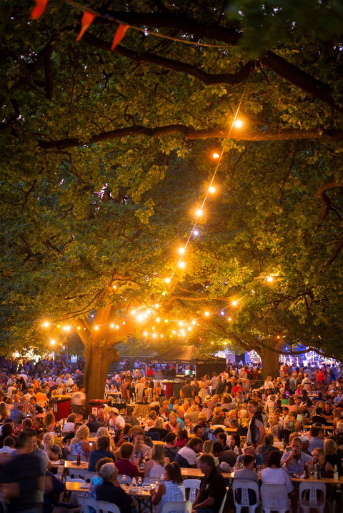 Festivale - Accommodation Gold Coast 0