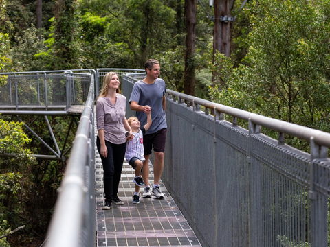 Get Back To Nature These July School Holidays! - Accommodation Gold Coast 1