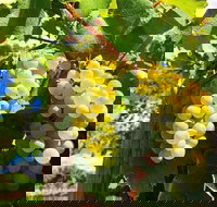 GetawaysSA Bringing Barossa To Your Door - Accommodation Gold Coast