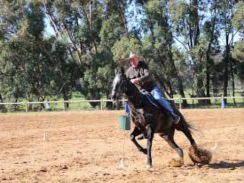 Glen William Gymkhana - Accommodation Gold Coast 1