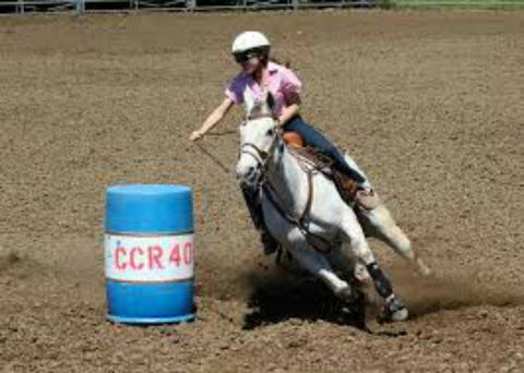 Glen William Gymkhana - Accommodation Gold Coast 2