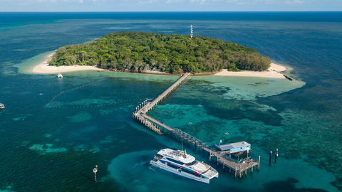 Great Adventures Green Island Ocean Swim - Accommodation Gold Coast 0