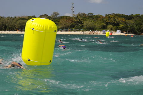 Great Adventures Green Island Ocean Swim - Accommodation Gold Coast 1