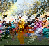 Griffith Spring Fest -  Multicultural Festival - Accommodation Gold Coast