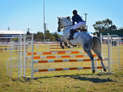 Gunnedah Showjumping Festival - 1 Gold Coast 1