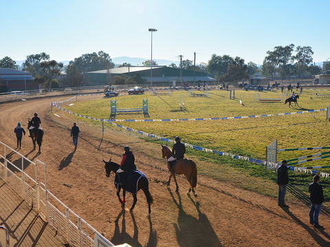 Gunnedah Showjumping Festival - 1 Gold Coast 2