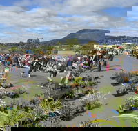 Hobart Showground Sunday Market - Weekly - Accommodation Gold Coast