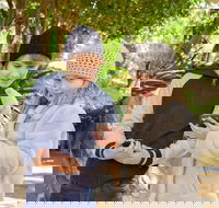 Hunter Valley Gardens Virtual Treasure Trail - Accommodation Gold Coast