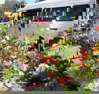 Johns River Country Markets - Accommodation Gold Coast