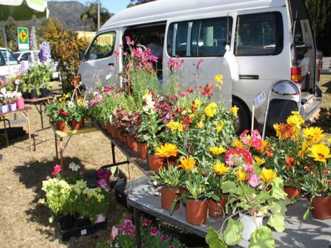 Johns River Country Markets - Accommodation Gold Coast 0