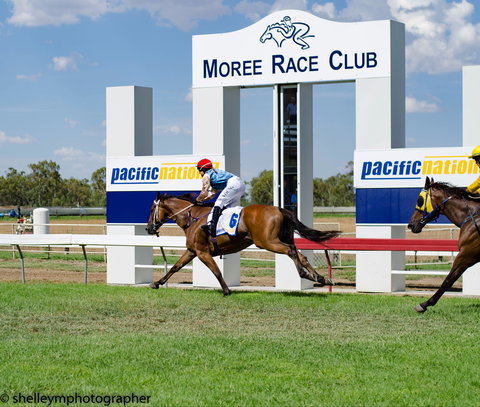 Moree Race Club TAB Race Day - Accommodation Gold Coast 0