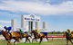 Moree Race Club TAB Race Day - thumb 1