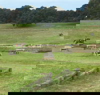 Mount Gambier and District Pony Club Horse Trials 2020 - Accommodation Gold Coast