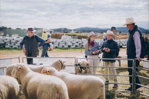 Mudgee Small Farm Field Days - Accommodation Gold Coast 0