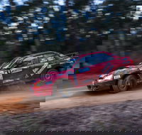 Narooma Forest Rally - Accommodation Gold Coast