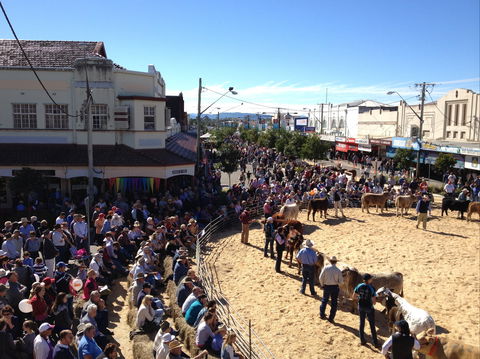 NCMC Casino Beef Week - Accommodation Gold Coast 0