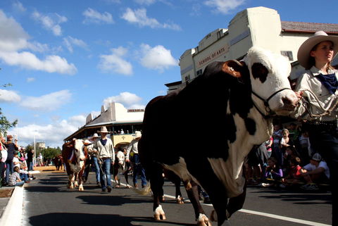 NCMC Casino Beef Week - Accommodation Gold Coast 1