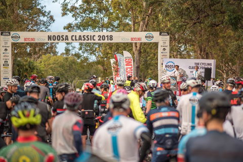 Noosa Classic - Accommodation Gold Coast 1