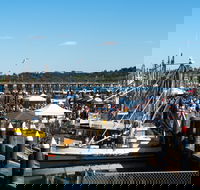 Ocean Harvest Festival - Accommodation Gold Coast