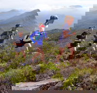Peaks and Trails Run - Gold Coast 4U