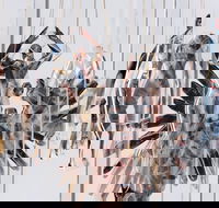Pulse Perspectives - Virtual Exhibition - Accommodation Gold Coast