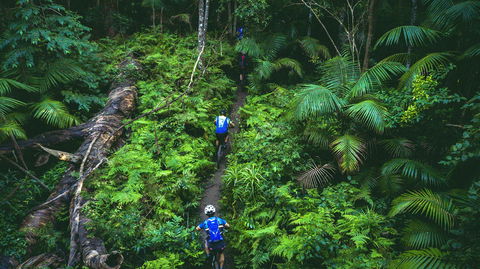 Reef To Reef - 1 Gold Coast 7